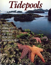 Tidepools by