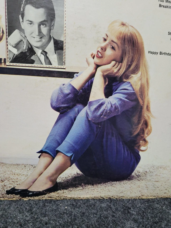 Vintage Neil Sedaka Sings His Greatest Hits Vinyl LP RCA Victor Pop Album Foto 3 de 4