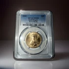 2022 $25 American Gold Eagle 1/2 oz PCGS MS69 FIRST STRIKE