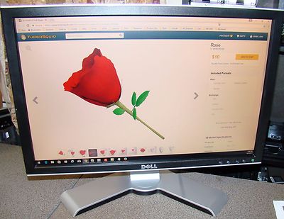 Dell 20