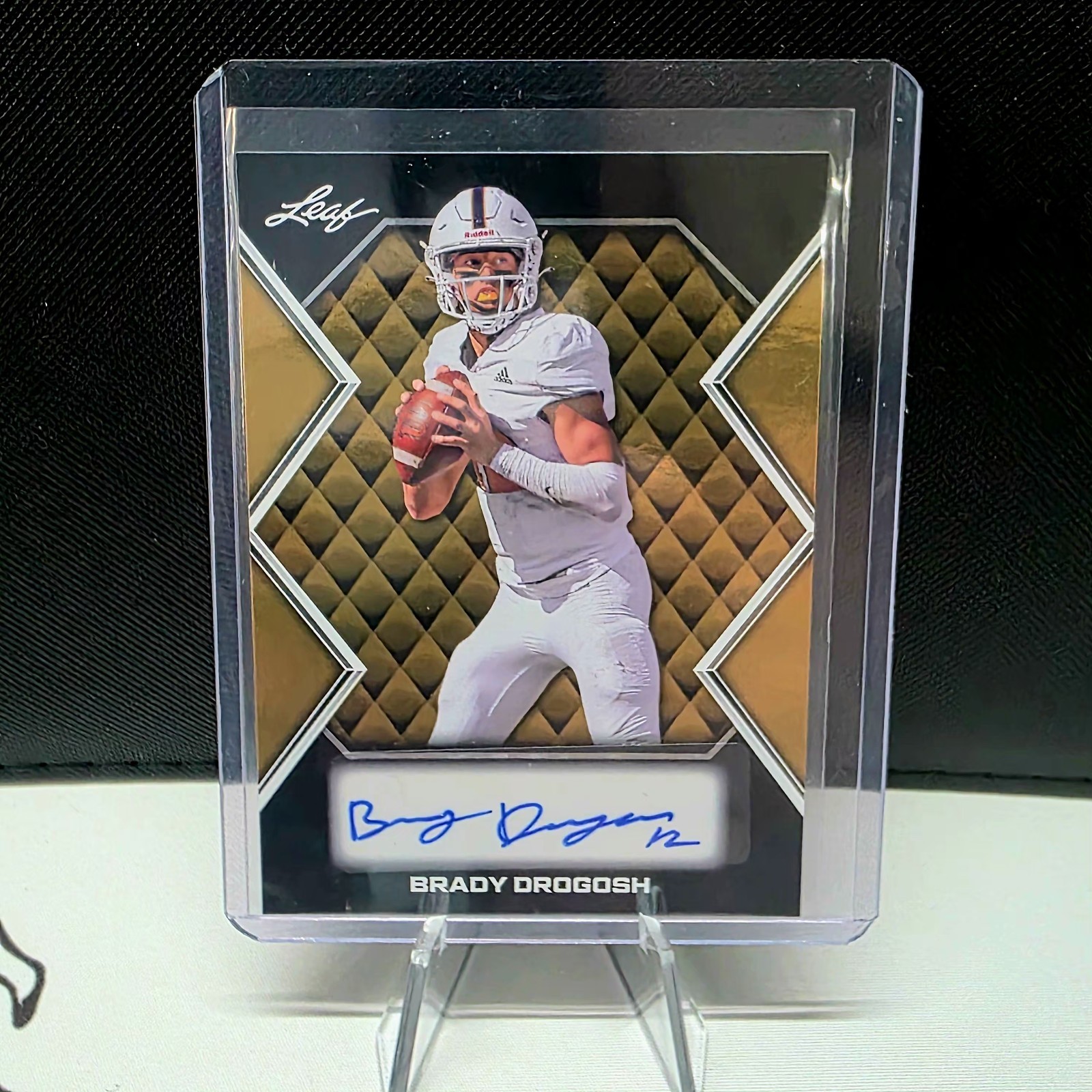 2024 Leaf Trinity Brady Drogosh Gold Acetate Clear Autograph RC Bearcats