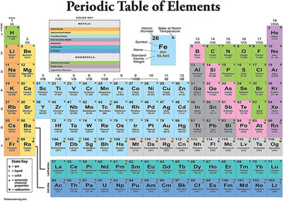 Periodic Table of the Elements Poster [White] - Science & Chemi