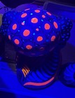 Vibrant Mexican Folk Art Clay Figurine Lot - Blacklight Reactive Axolotl & Cat — photo 10
