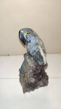 Pappagallo scolpito su pietra  con base di drusa di ametista 