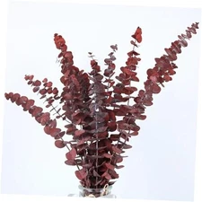 20pcs Dried Red Eucalyptus Stems 17" Natural Fresh Eucalyptus Plant for Shower 