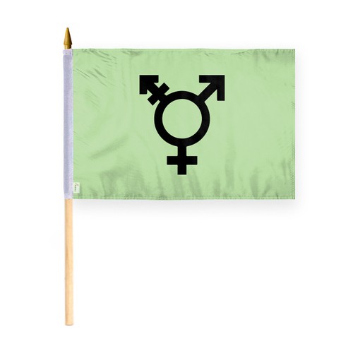 Israel Trans Flag-Single Sided Printed-Brass Grommets- Fade Proof Colors - Picture 12 of 15