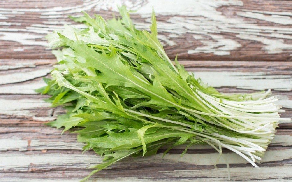 500 Graines Mizuna Salade Japonaise, Brassica RJaponica, Japenese Mustard seeds eBay