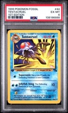 Image for Tentacruel