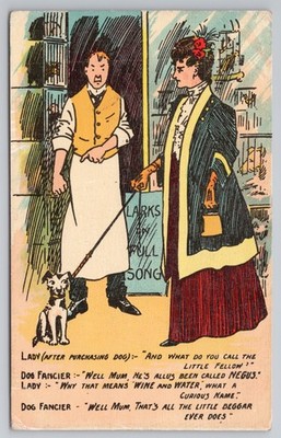 Bamforth Comic Postkarte Hund Züchter ''Negus'' Wein & Wasser Witz Anfang 1900 unbenutzt