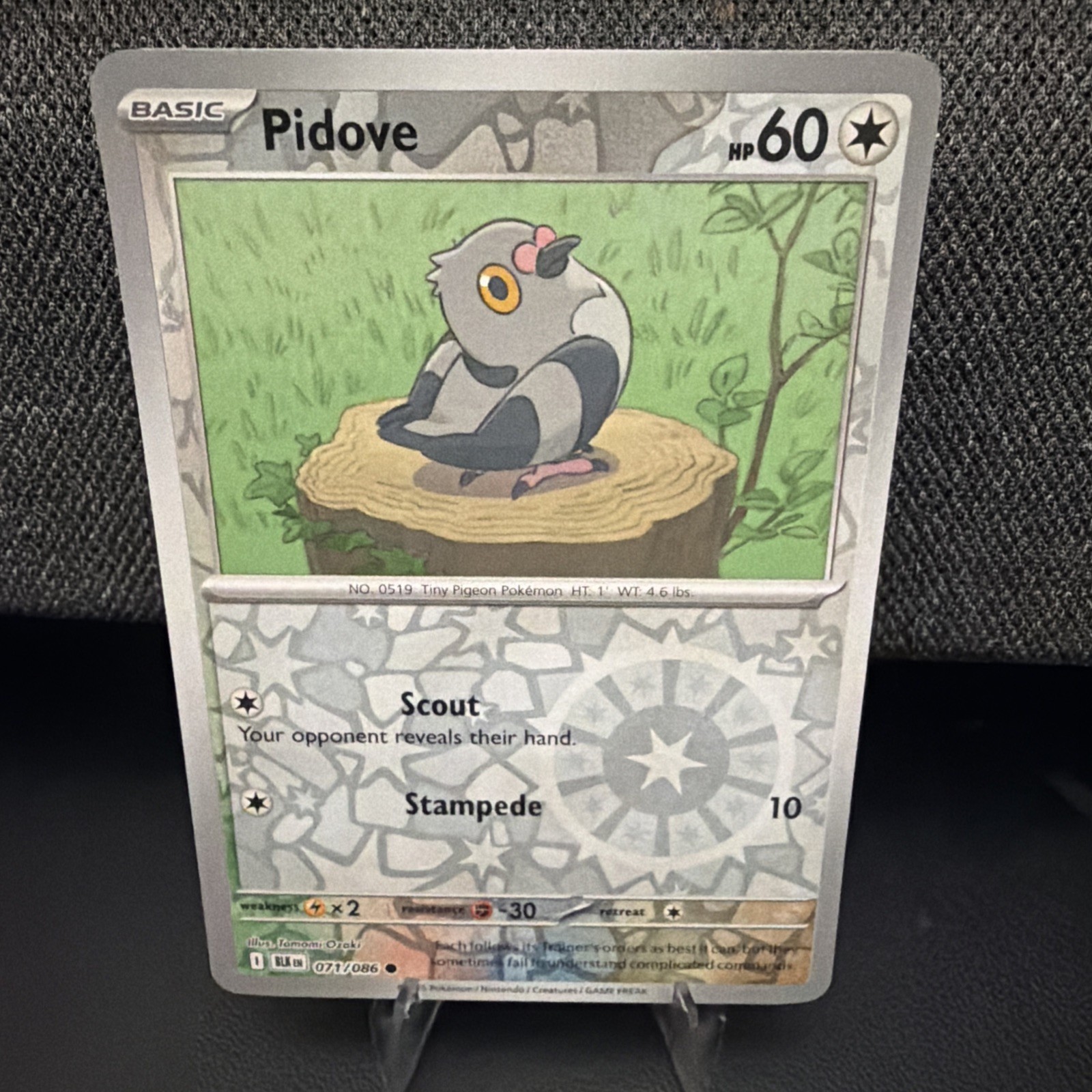 Pidove 071/086 Reverse Holo Common Scarlet & Violet: Black Bolt Pokemon TCG