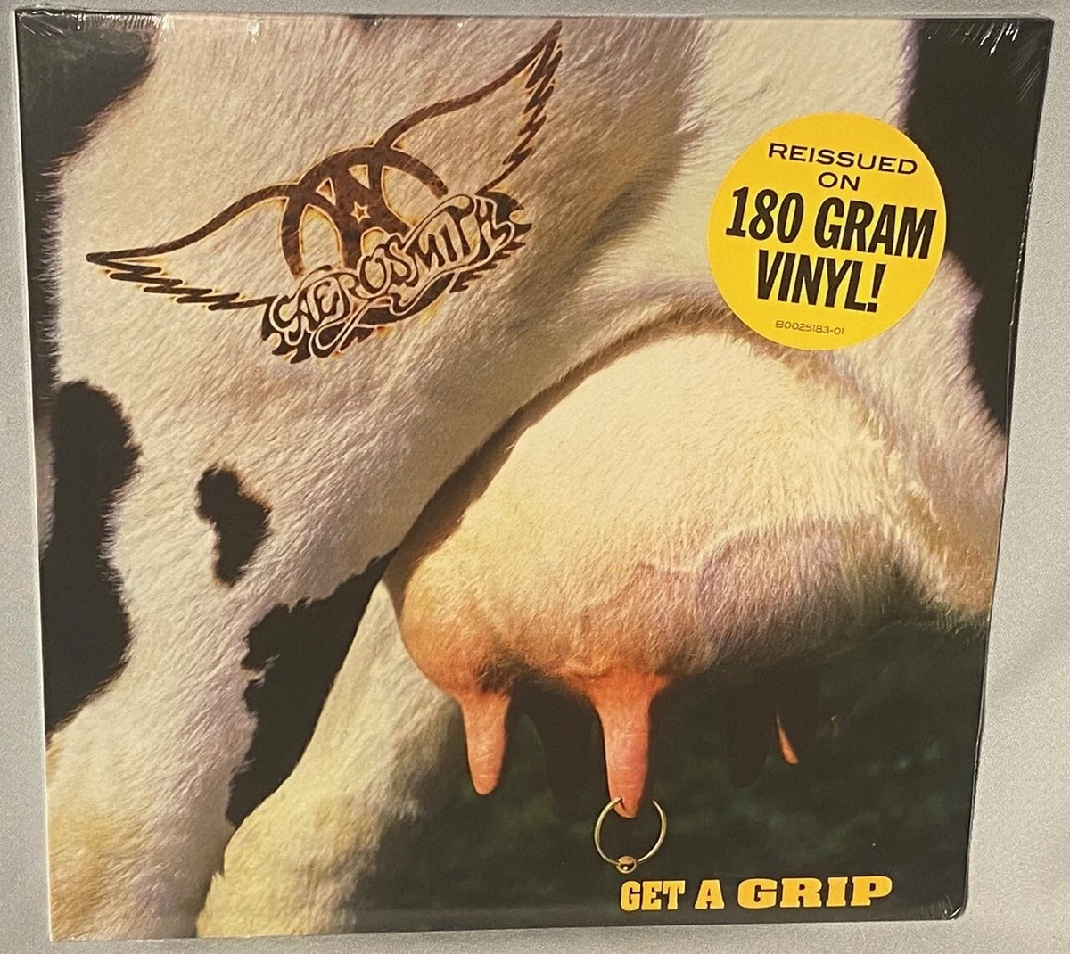 Aerosmith Get A Grip In Vinyl Records for sale | eBay