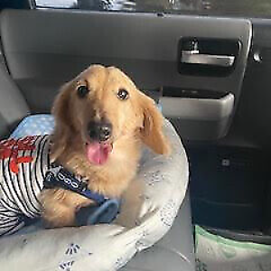 KOTA.KOTA JAPAN | eBay Stores