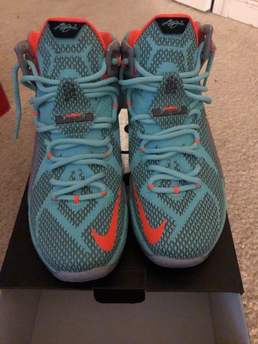 lebron 12 orange and black