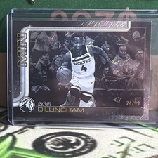 Topps Target Exclusive 2025-26 Rob Dillingham Timberwolves #114 /99