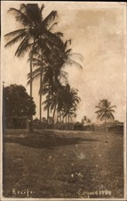 RPPC Recife Coqueiros Brazil palm trees vintage postcard g393