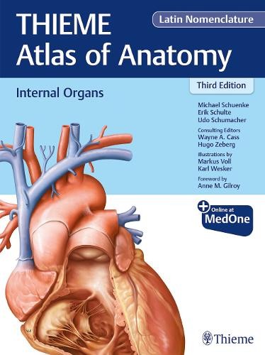 Internal Organs (THIEME Atlas of Anatomy), Latin Nomenclature - 9781684200825