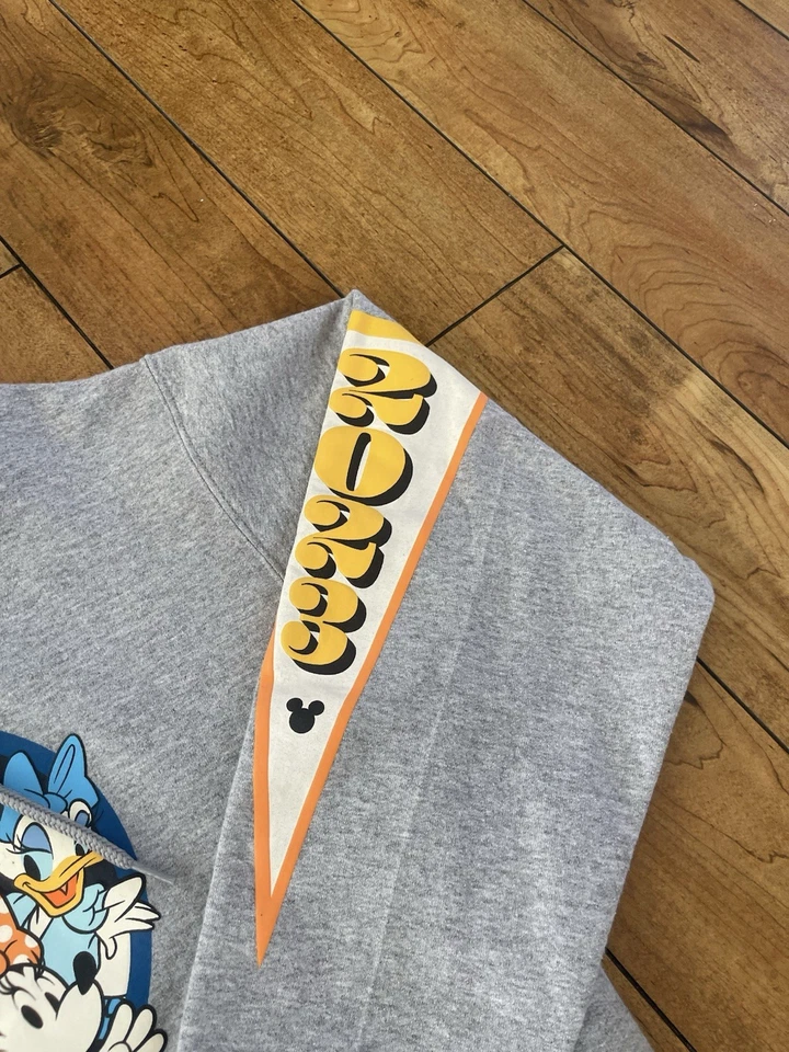Sudadera con capucha gris Disneyland 2023 talla pequeña Foto 3 de 4