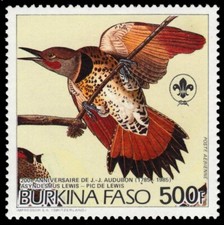 BURKINA FASO 721 - "Northern Flicker" by John James Audubon (pb83738)