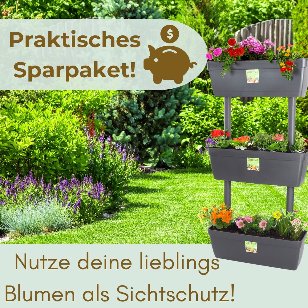 Bild 7 von 7