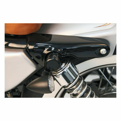 Short Bobber Rear Fender + Strut Covers For 04-21 All Harley Sportster ...