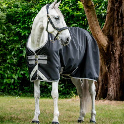 Horseware Amigo Bravo 12 Original Lite Turnout 100g
