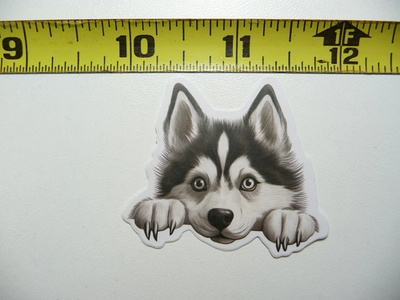 #ad PEEKING SIBERIAN HUSKY SMALL STICKER DECAL PUPPY DOG PET LOVE PEEK A BOO $2.94