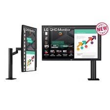 LG 27QN880-B Ergo 27 Zoll QHD Monitor mit Ergo-Standfuß, USB-C und IPS-Display