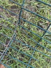 Omlet Eglu Classic Chicken Run  