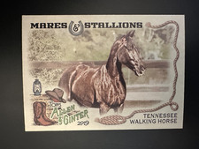 2019 Topps Allen & Ginter #MS-4 Tennessee Walking Horse Mares and Stallions