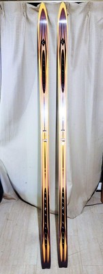 BLACKDIAMOND SAINT ELIAS 191cm BLACKDIAMOND SAINT ELIAS 191cm