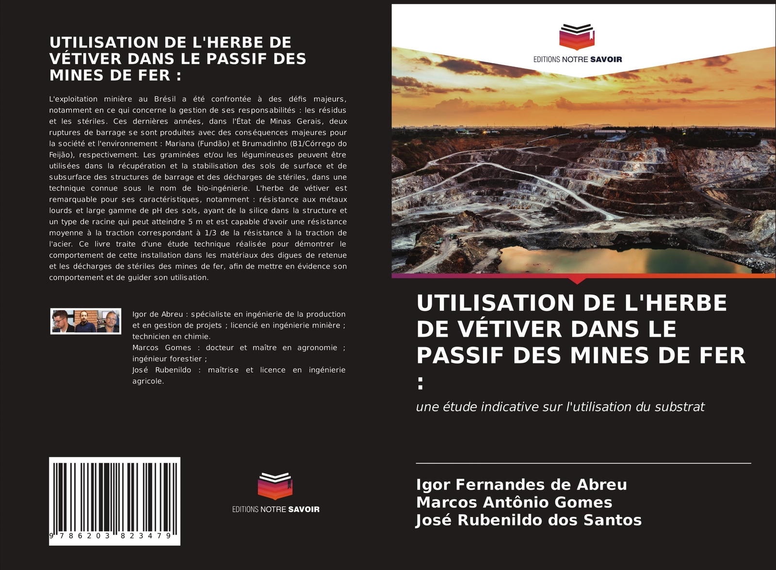 Thumbnail - Utilisation De L'herbe De Vétiver Dans Le Passif Des Mines De Fer :