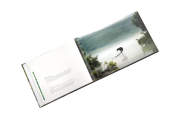 Геннадий Юсин Фотография ДИКАЯ ПРИРОДА Россия Камчатка Альбом ГОБЕЛЕН ПРИРОДЫ - Изображение 4 из 4