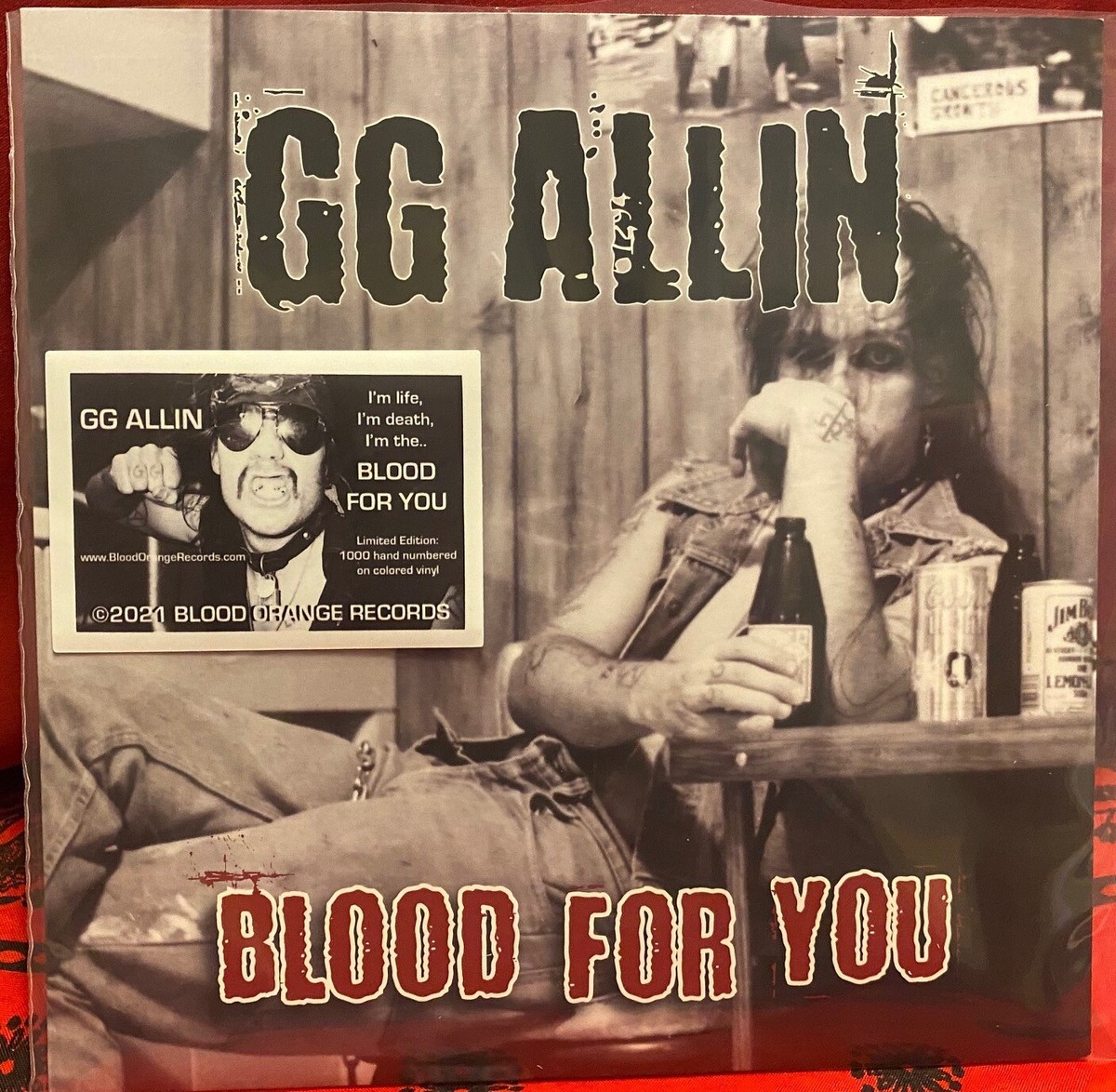 GG Allin Cedar St Sluts Blood For You 7
