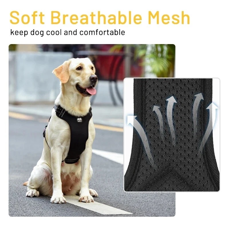 Dog harness