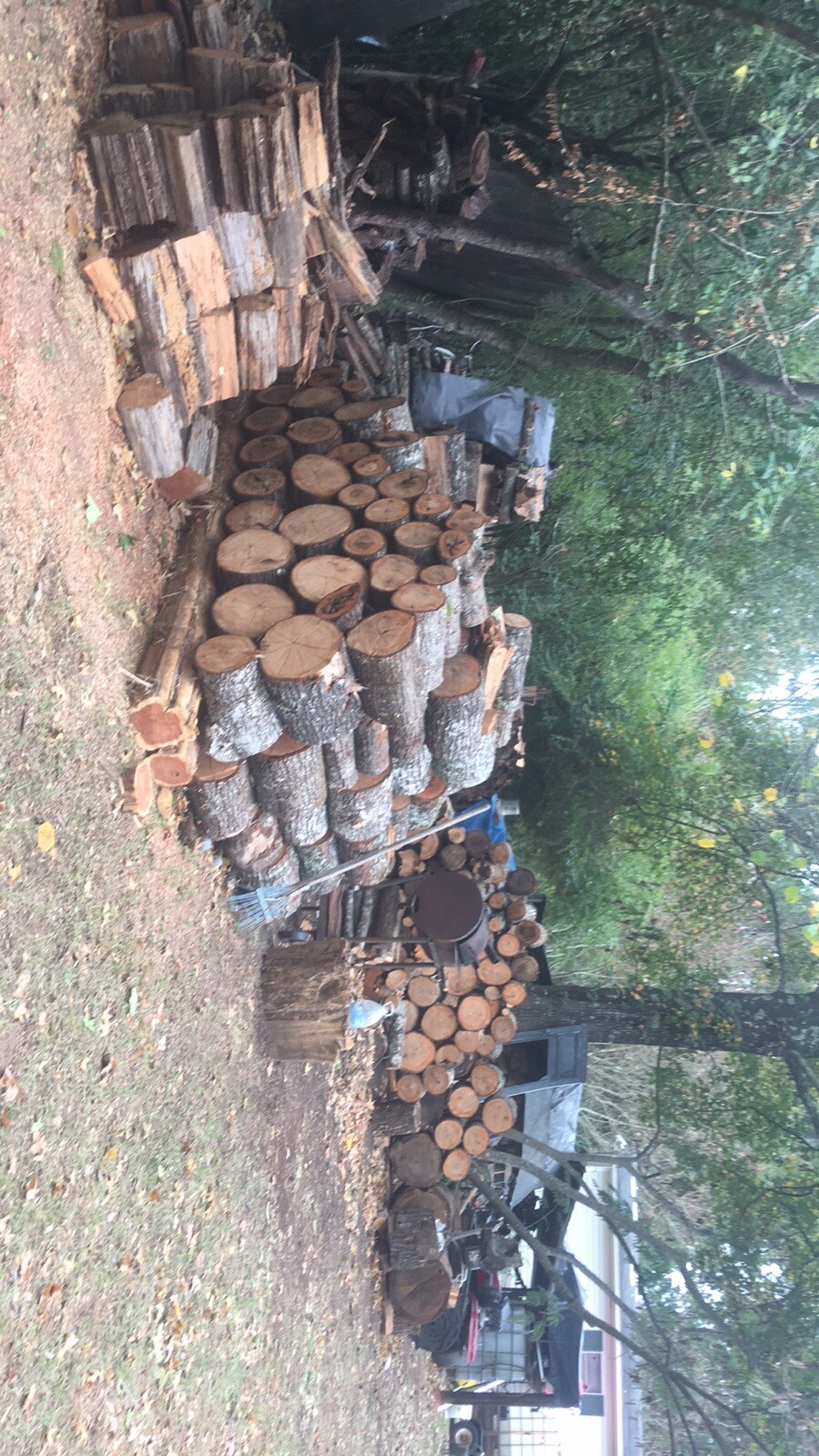 Red Oak Firewood $300 cord u pickup $350 delivered within 30 mi $400 Up To  50 Mi | eBay