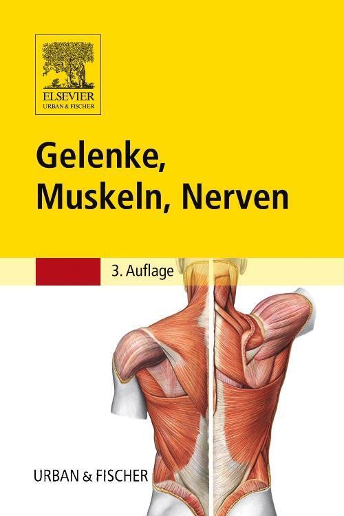 Thumbnail - Gelenke, Muskeln, Nerven Susanne Reimann Taschenbuch Vi Deutsch 2012