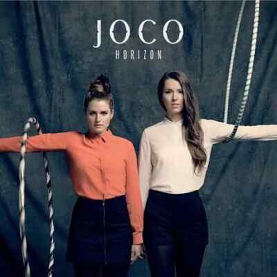 Joco Horizon Near Mint Sony Music Vinyl LP 33 RPM 12 Inch