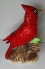 Bild 7 von 11