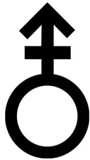 ANDROGYNOUS GENDER Vinyl Sticker - Symbol Sign Androgyny - Die Cut Decal