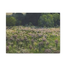 William Henry Holmes - Field of Joe Pie Weeds - Canvas Wall Art