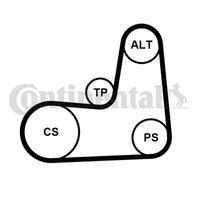 Continental Ctam Keilrippenriemensatz 5PK1135K2 FüR CR0 BR0 K12 ScÉNic Renault 2