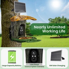 Newest 4G Connect Bird Feeder Smart Camera Auto Capture w/ 6W Solar Powered