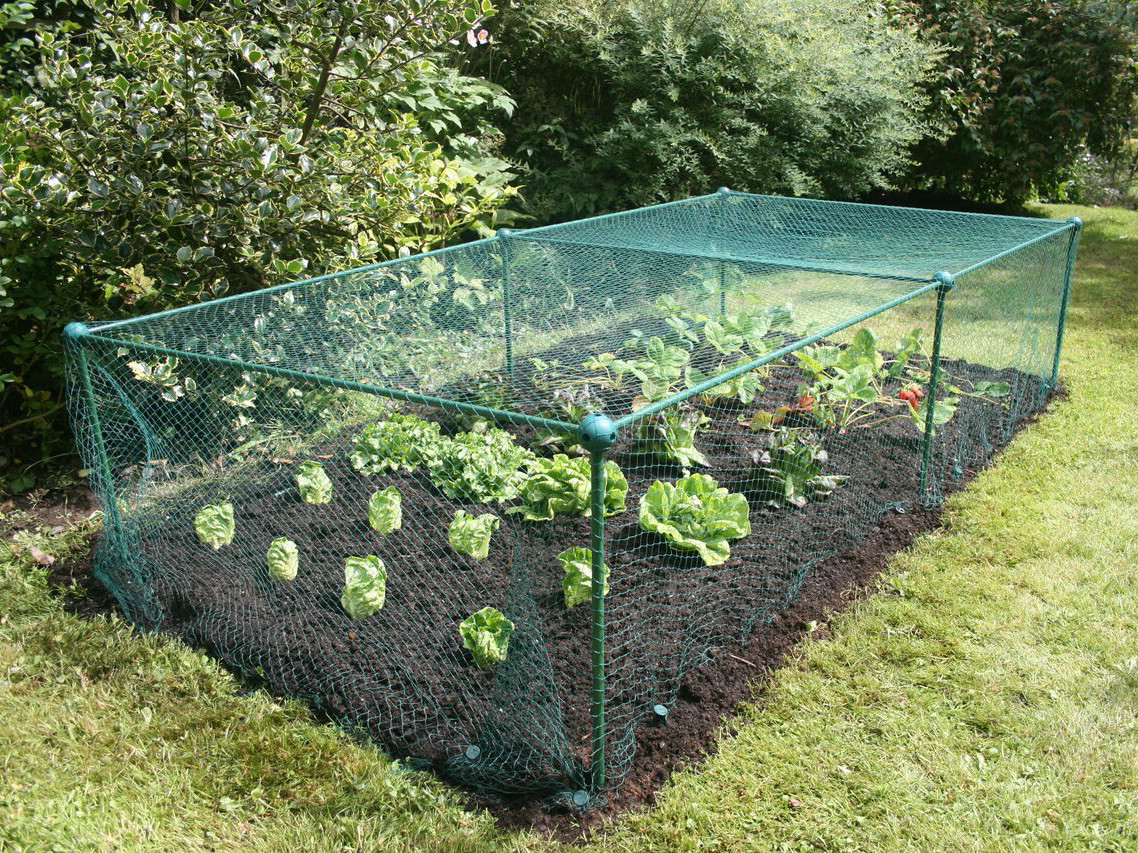 2m x 1m x 0.625m High with 20mm Bird Net Kit Veg Cage Plant Protection Pest