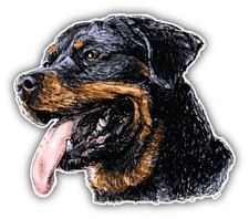 Rottweiler Head Sketch Car Bumper Sticker Decal