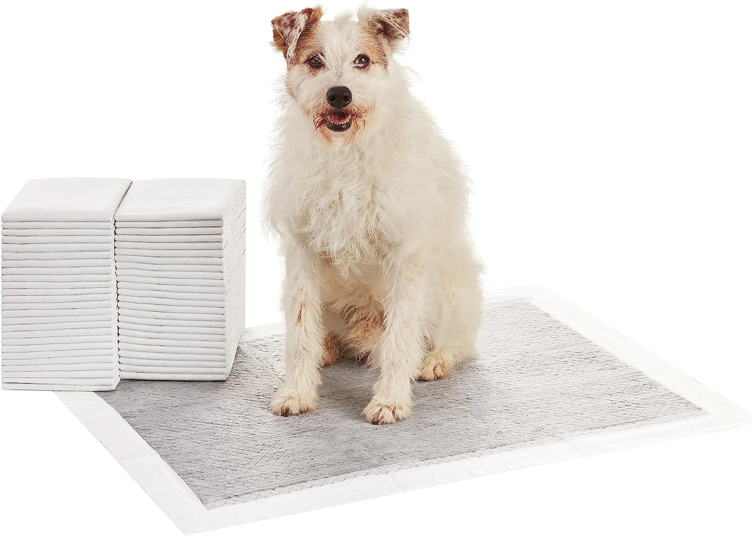 Tappetini Addestramento Cani Carbone: La Svolta per la Tua Casa