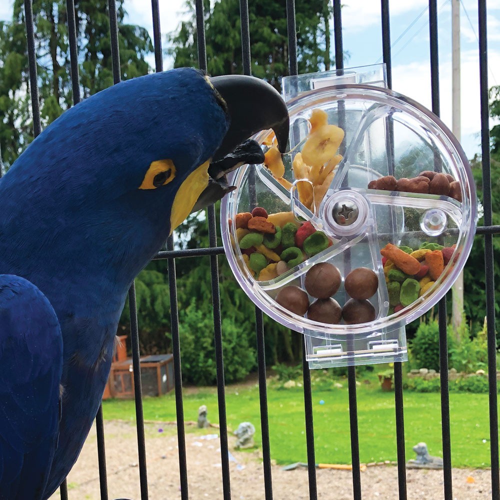 Creative Foraging Wheel Parrots 6 Inch Diameter African Grey Amazon Conure Macaw