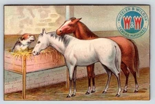 HAGERSTOWN MD WM MOORE WHEELER & WILSON SEWING MACHINES TRADE CARD**TRIMMED**