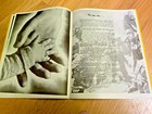 Bild 7 von 12