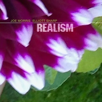 Morris,Joe / Sharp,Elliott - Realism [New CD]