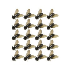 Lifelike Appearance For Salmon Trout Soft Bait 20pcs Fly Fishing Flies